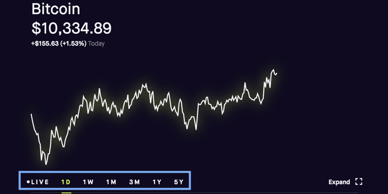 How to read the Robinhood cryptocurrency details